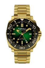 Load image into Gallery viewer, TD012G Diving watch
